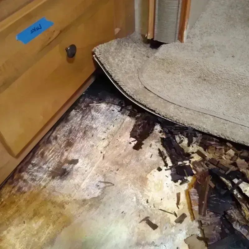 Wood Floor Water Damage in Lake Erie Beach, NY